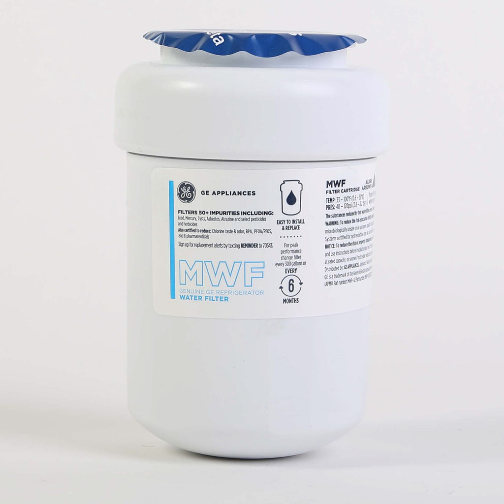 GE MWFP Water Filter Canister - detail view