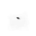 Whirlpool W11620712 Switch-Lite