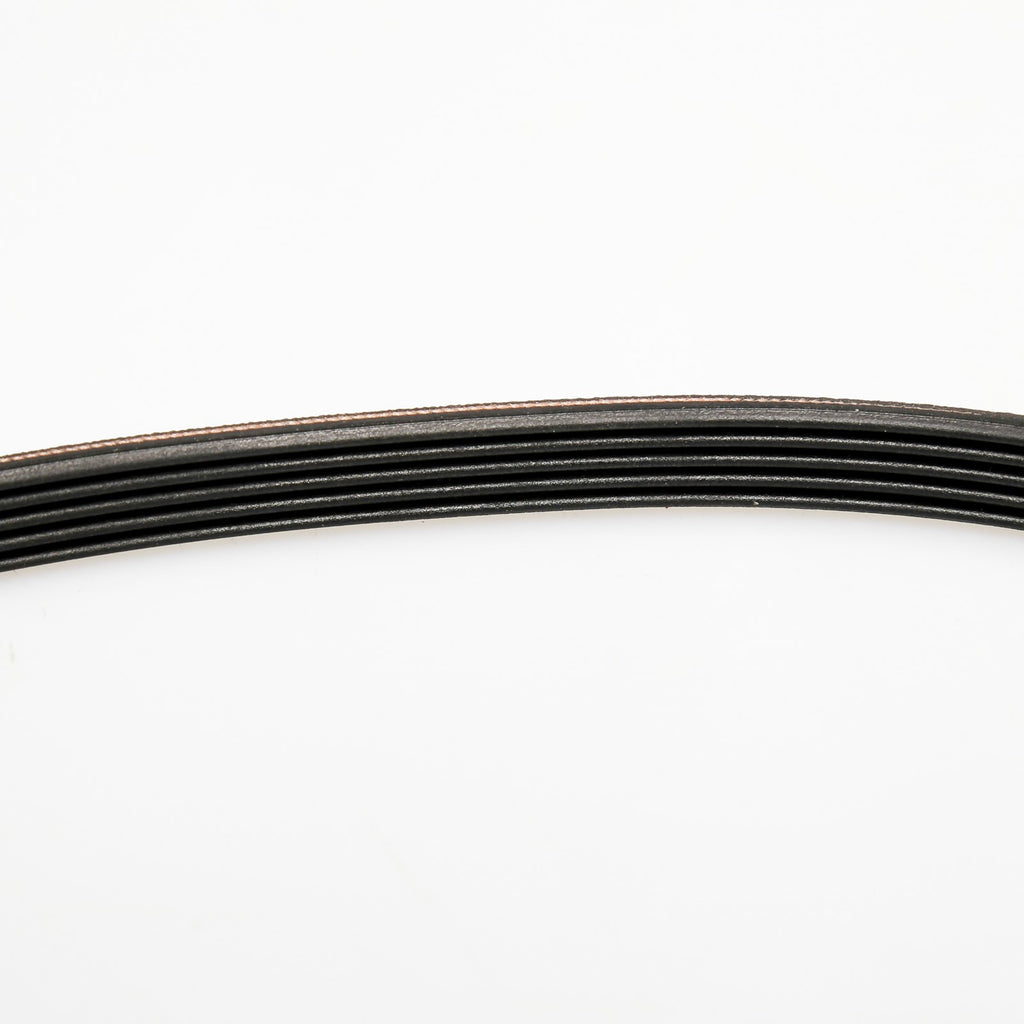 Whirlpool WPW10006384 Belt - detail view