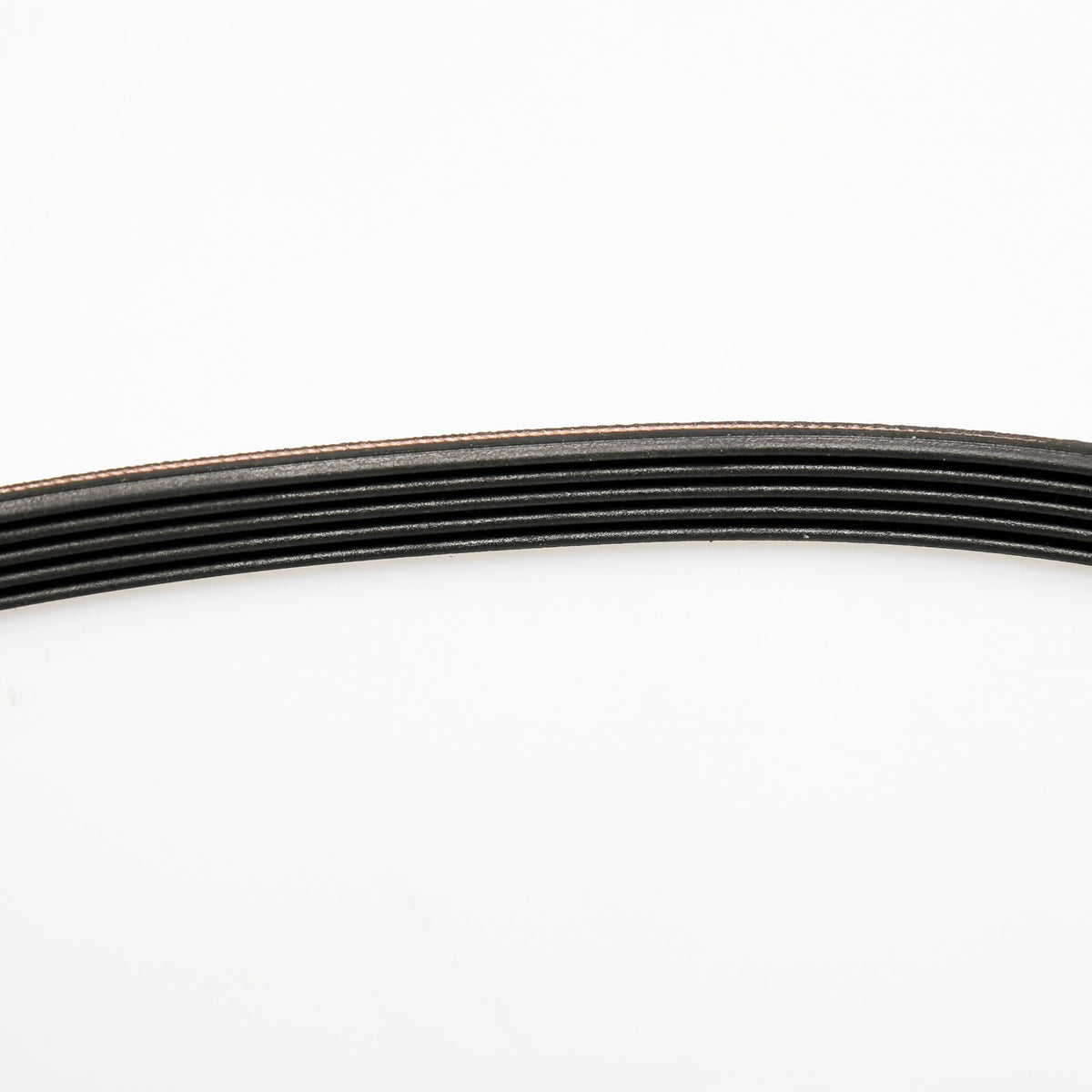 Whirlpool WPW10006384 Belt - detail view