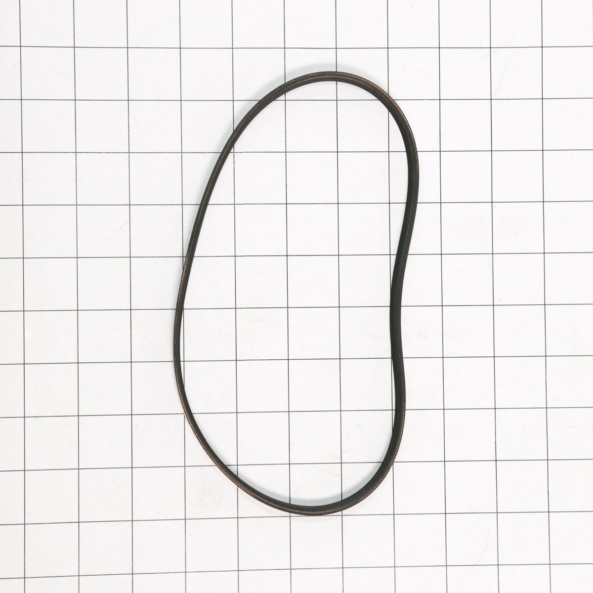 Whirlpool WPW10006384 Belt - shown with measurements